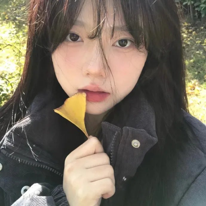 飞哥正传