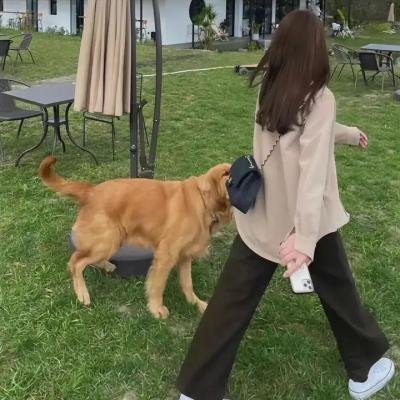 战士终结者